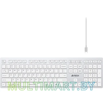 Клавиатура A4Tech Fstyler FBX50C (серебристый/белый) картинка 2